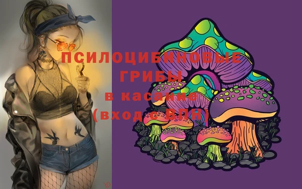 винт Абинск