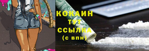 Альфа ПВП Абаза